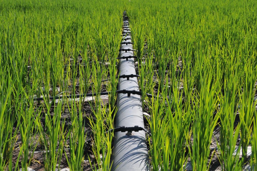 Agricultural Irrigation Water Transfer